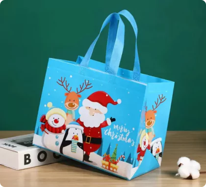 Nonwoven Gift Bags